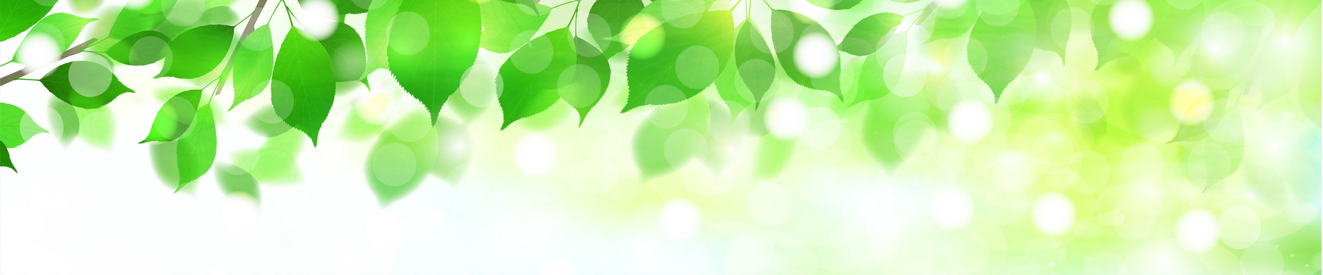 NPO法人 遺言・相続リーガルネットワーク